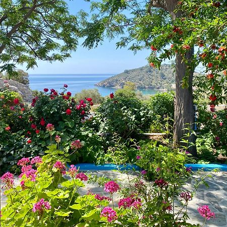 Studios Ioanna Limnionas Samos Marathókampos Екстериор снимка
